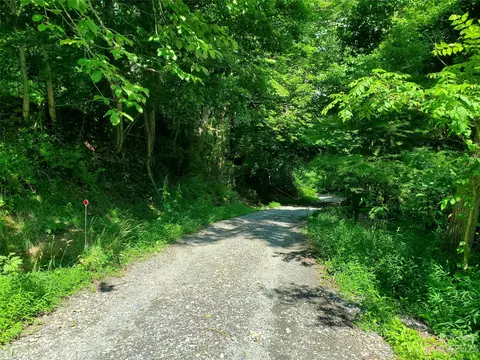 999 Buck Scrape Rd, Marshall, NC 28753 photo 24