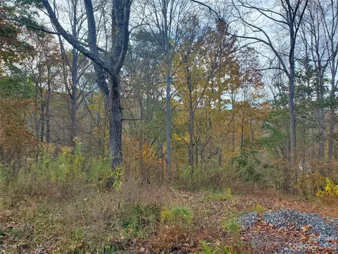 999 Buck Scrape Rd, Marshall, NC 28753 photo 16