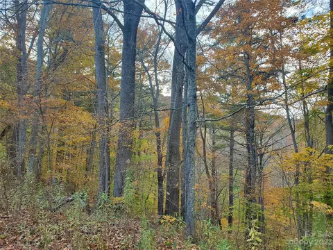 999 Buck Scrape Rd, Marshall, NC 28753 photo 9