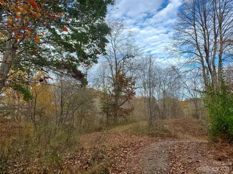 999 Buck Scrape Rd, Marshall, NC 28753 photo 10