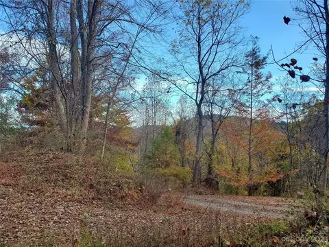999 Buck Scrape Rd, Marshall, NC 28753 photo 2