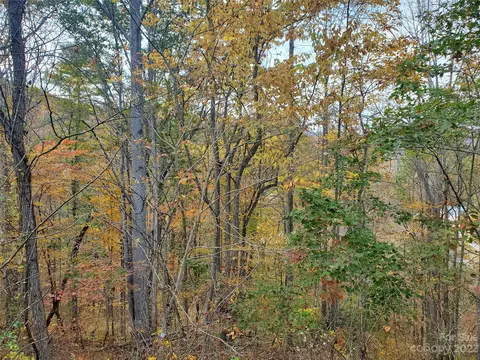 999 Buck Scrape Rd, Marshall, NC 28753 photo 17