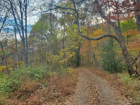 999 Buck Scrape Rd, Marshall, NC 28753 photo 8