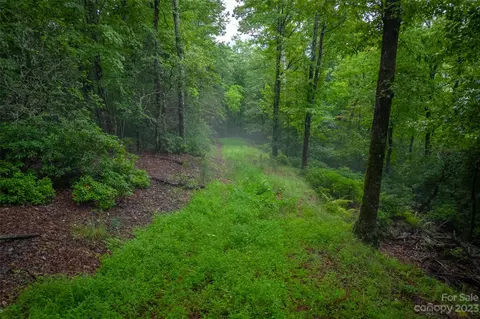 5600 E Fork Rd, Brevard, NC 28712 photo 11