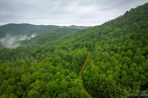 5600 E Fork Rd, Brevard, NC 28712 photo 7
