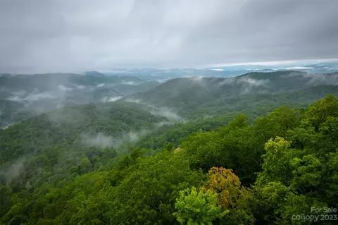 5600 E Fork Rd, Brevard, NC 28712 photo 5
