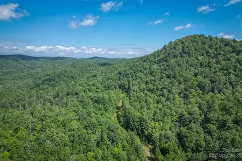 5600 E Fork Rd, Brevard, NC 28712 photo 3