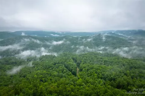 5600 E Fork Rd, Brevard, NC 28712 photo 2
