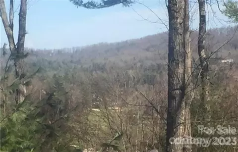 0 Kenmure 20 Dr #20, Flat Rock, NC 28731