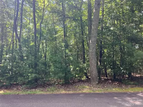 20 Settlers Trail, Mars Hill, NC 28754