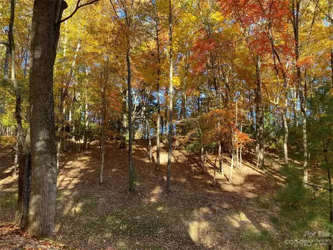 Big Pine Road, Marshall, NC 28753 photo 9
