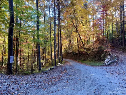 Big Pine Road, Marshall, NC 28753 photo 25