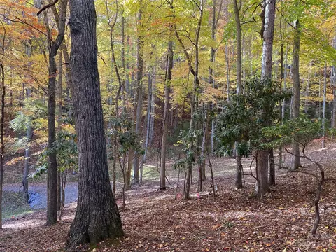 Big Pine Road, Marshall, NC 28753 photo 15
