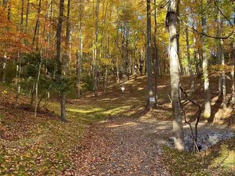 Big Pine Road, Marshall, NC 28753 photo 10