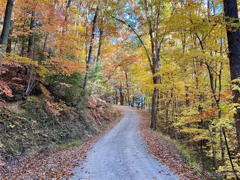 Big Pine Road, Marshall, NC 28753 photo 22
