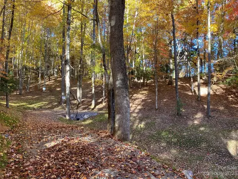 Big Pine Road, Marshall, NC 28753 photo 5