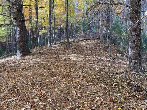 Big Pine Road, Marshall, NC 28753 photo 17