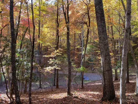 Big Pine Road, Marshall, NC 28753 photo 14