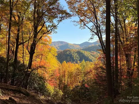 Big Pine Road, Marshall, NC 28753