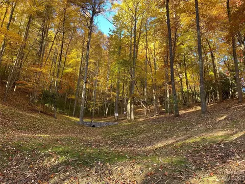 Big Pine Road, Marshall, NC 28753 photo 11