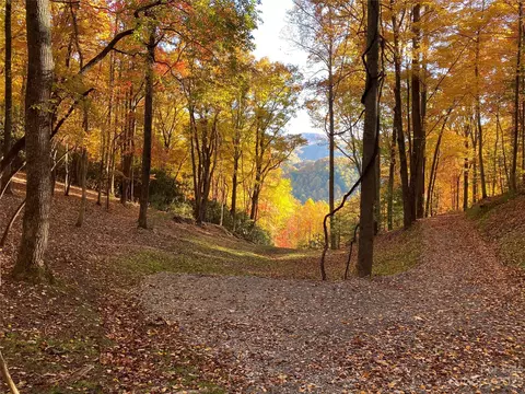 Big Pine Road, Marshall, NC 28753 photo 6