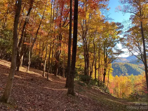Big Pine Road, Marshall, NC 28753 photo 7