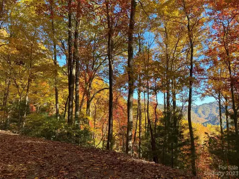 Big Pine Road, Marshall, NC 28753 photo 3