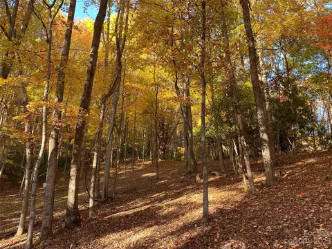 Big Pine Road, Marshall, NC 28753 photo 13