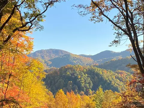 Big Pine Road, Marshall, NC 28753 photo 2