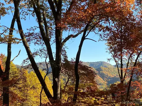 Big Pine Road, Marshall, NC 28753 photo 4