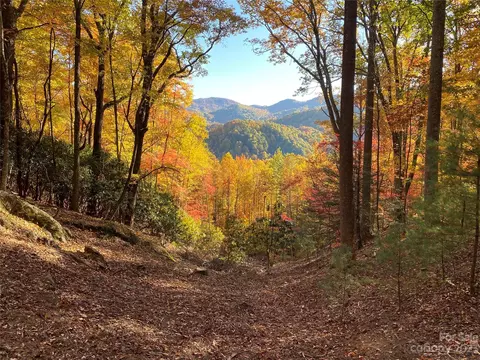 Big Pine Road, Marshall, NC 28753 photo 8