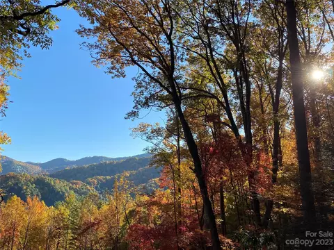 Big Pine Road, Marshall, NC 28753 photo 21