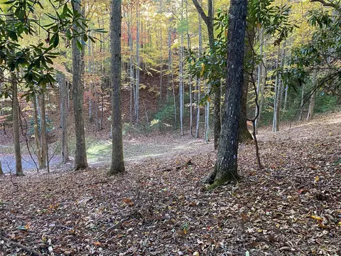 Big Pine Road, Marshall, NC 28753 photo 16