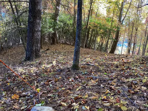Big Pine Road, Marshall, NC 28753 photo 18