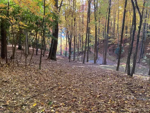 Big Pine Road, Marshall, NC 28753 photo 19