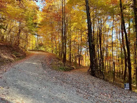 Big Pine Road, Marshall, NC 28753 photo 23