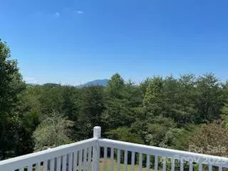 191 Red Rock Ln, Mill Spring, NC 28756 photo 39