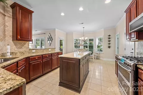 9611 Willow Leaf Ln, Cornelius, NC 28031 photo 11