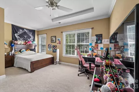 9611 Willow Leaf Ln, Cornelius, NC 28031 photo 35