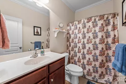 9611 Willow Leaf Ln, Cornelius, NC 28031 photo 37