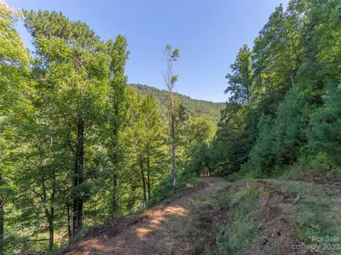 120 Walnut Ridge Dr, Clyde, NC 28721 photo 7