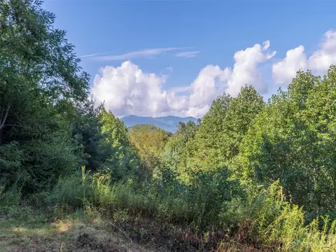 120 Walnut Ridge Dr, Clyde, NC 28721 photo 2