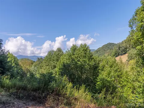120 Walnut Ridge Dr, Clyde, NC 28721 photo 8