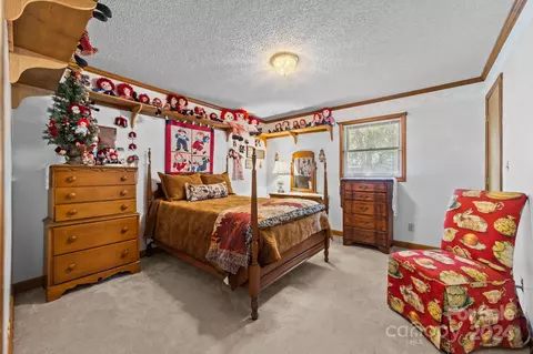 1672 Shearers Rd, Davidson, NC 28036 photo 43