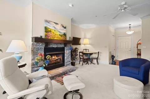 9 Kenilworth 221 Knl #221, Asheville, NC 28805