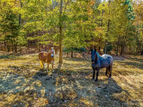 263 Sylvan Ln, Mill Spring, NC 28756 photo 40