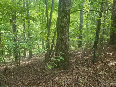 205 Hitching Post Rd, Mill Spring, NC 28756 photo 18