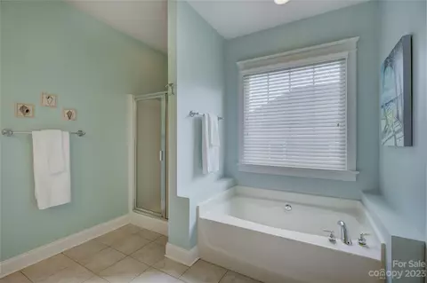 357 Elis Way, Fort Mill, SC 29708 photo 34