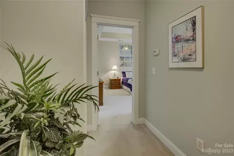 357 Elis Way, Fort Mill, SC 29708 photo 29