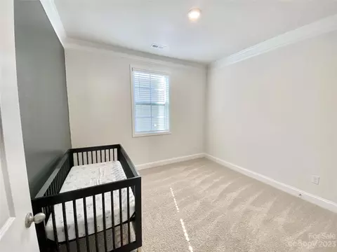 1611 Sweetmoss Loop, Denver, NC 28037 photo 30